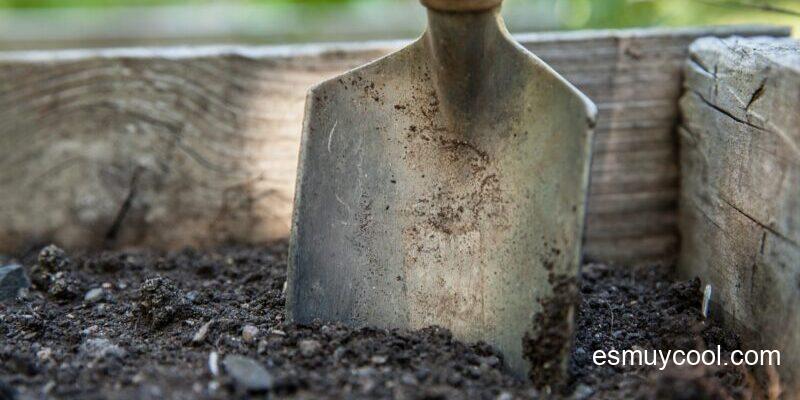 Cómo cavar en tierra dura 1 Cómo cavar en tierra dura