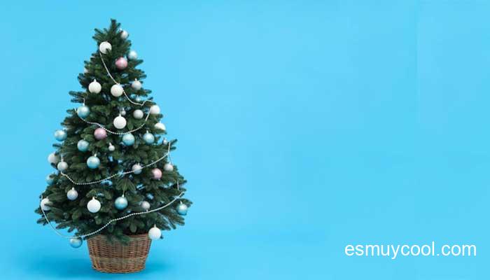 Todo lo que necesitas saber sobre los Árboles de Navidad
