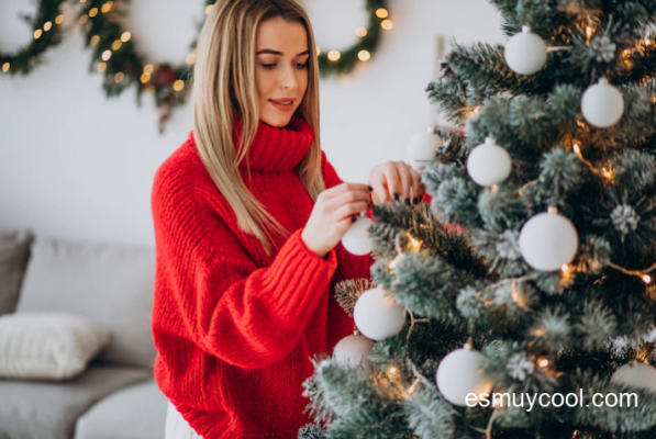 Todo lo que necesitas saber sobre los Árboles de Navidad 1 Todo lo que necesitas saber sobre los Árboles de Navidad