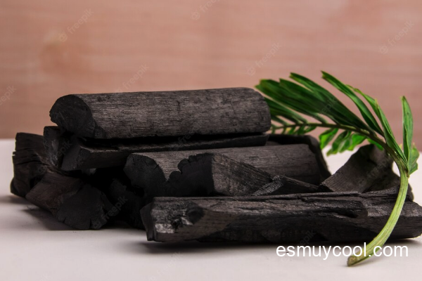 ¿Se puede usar carbón vegetal en una estufa de leña? 1 ¿Se puede usar carbón vegetal en una estufa de leña?