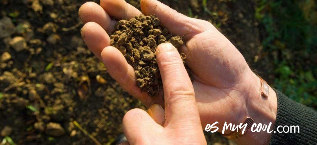 Diferencia entre estructura y textura del suelo 1 Diferencia entre estructura y textura del suelo